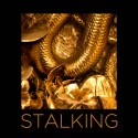 Black Madonna - Stalking ft. Dida